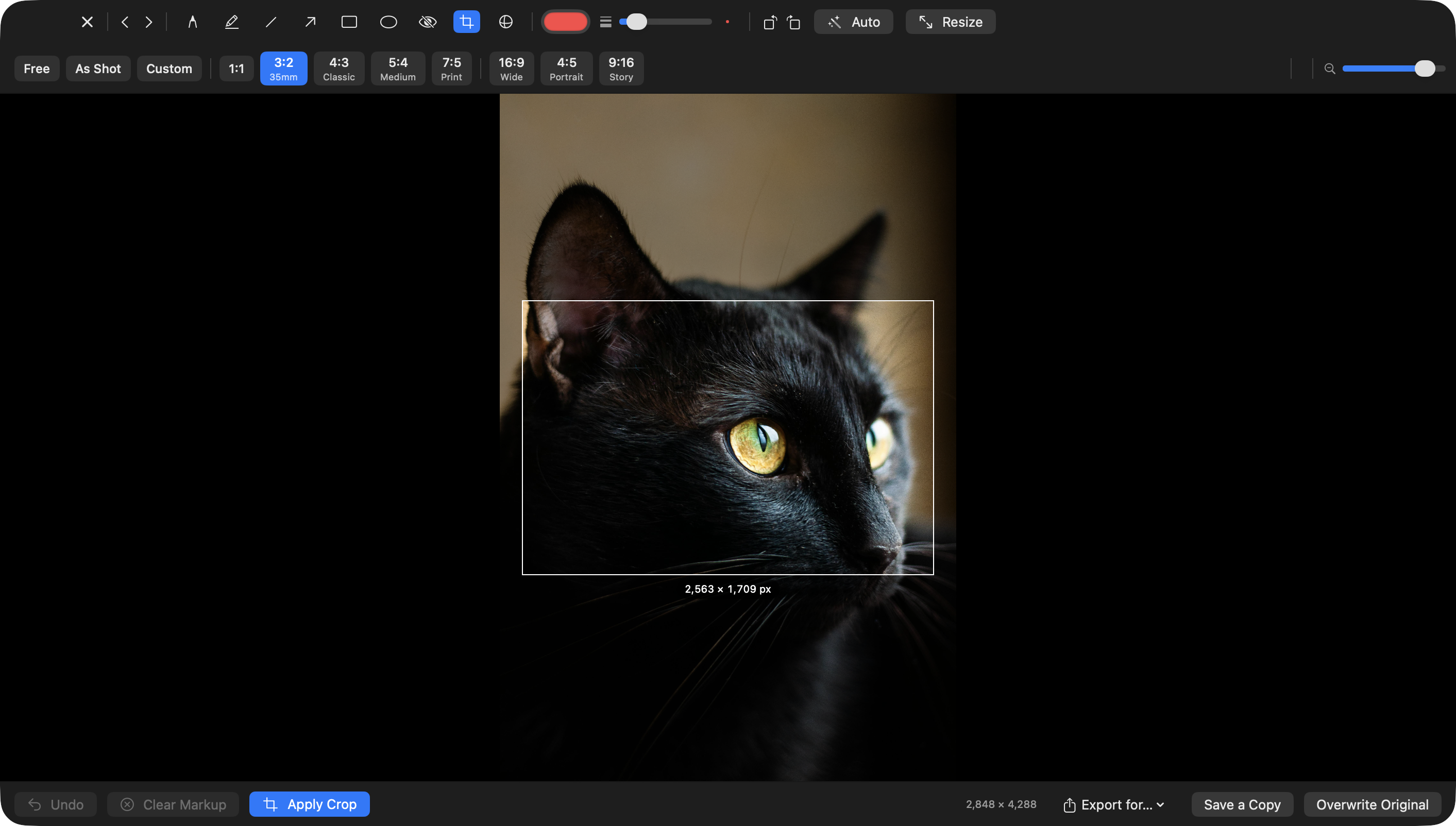 Lathe, crop and social presets